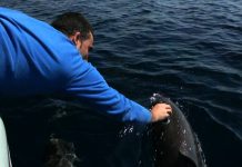 Grip and tenacity whilst respecting the environment
